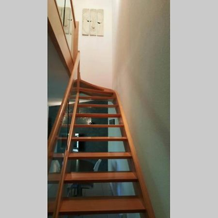 Superbe Duplex Au Nouveau Bassin Avec Vue Superbe Mulhouse Esterno foto