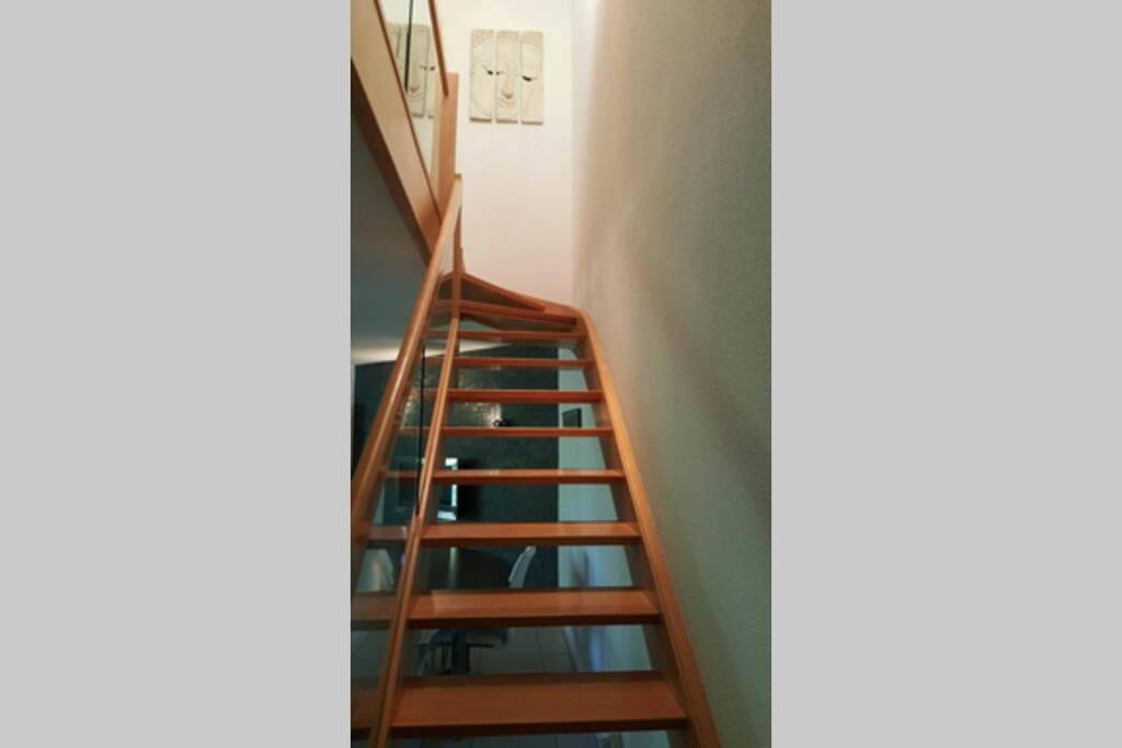 Superbe Duplex Au Nouveau Bassin Avec Vue Superbe Mulhouse Esterno foto