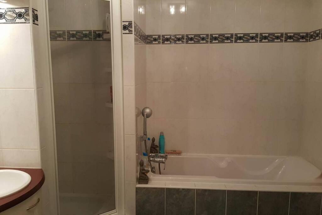 Superbe Duplex Au Nouveau Bassin Avec Vue Superbe Mulhouse Esterno foto